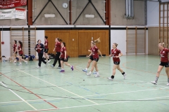 20190330_002_TVLangenselbold_D1