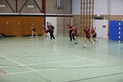 20190330_003_TVLangenselbold_D1