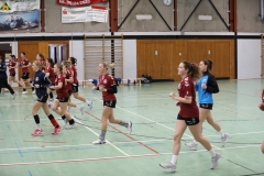 20190330_007_TVLangenselbold_D1