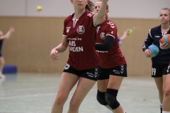 20190330_019_TVLangenselbold_D1