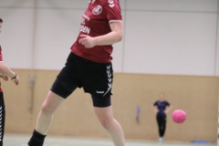 20190330_029_TVLangenselbold_D1