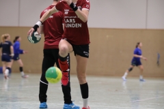 20190330_033_TVLangenselbold_D1