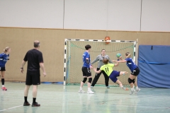 20190330_205_TVLangenselbold_D1