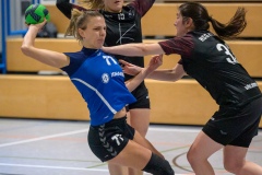 1_20260117_056_d1_hsg_dreieich