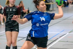 20260117_064_d1_hsg_dreieich