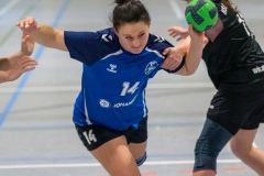 20260117_093_d1_hsg_dreieich