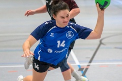 20260117_095_d1_hsg_dreieich