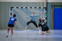 20260117_100_d1_hsg_dreieich