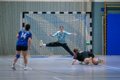 20260117_102_d1_hsg_dreieich