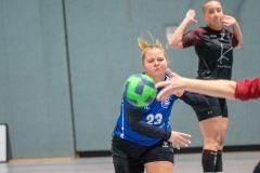 20260117_105_d1_hsg_dreieich