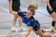 20260117_112_d1_hsg_dreieich