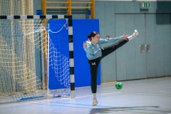 20260117_128_d1_hsg_dreieich