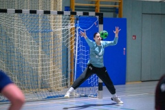 20260117_134_d1_hsg_dreieich