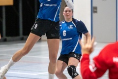 20260221_003_d1_20260221-hsg-haibach-glattbach