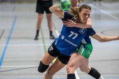 20260221_020_d1_20260221-hsg-haibach-glattbach