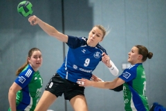 20260221_027_d1_20260221-hsg-haibach-glattbach