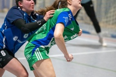 20260221_054_d1_20260221-hsg-haibach-glattbach