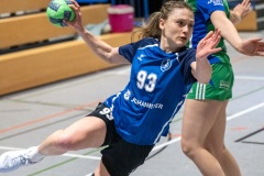 20260221_067_d1_20260221-hsg-haibach-glattbach