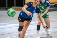 20260221_094_d1_20260221-hsg-haibach-glattbach