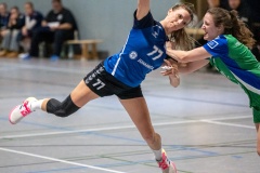 20260221_109_d1_20260221-hsg-haibach-glattbach