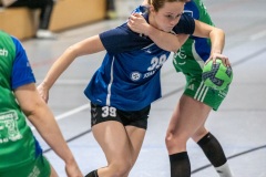 20260221_110_d1_20260221-hsg-haibach-glattbach