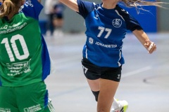 20260221_153_d1_20260221-hsg-haibach-glattbach