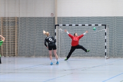 20170319_015_D2_Gelnhausen