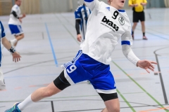 Handball Bezirksoberliga (Offenbach-Hanau)