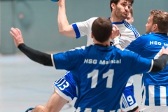 Handball Bezirksoberliga (Offenbach-Hanau)