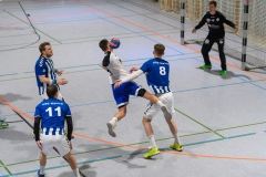 Handball Bezirksoberliga (Offenbach-Hanau)