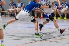 Handball Bezirksoberliga (Offenbach-Hanau)