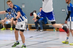 Handball Bezirksoberliga (Offenbach-Hanau)