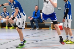 Handball Bezirksoberliga (Offenbach-Hanau)