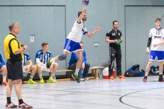 Handball Bezirksoberliga (Offenbach-Hanau)