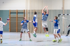 Handball Bezirksoberliga (Offenbach-Hanau)