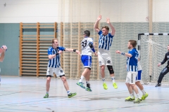 Handball Bezirksoberliga (Offenbach-Hanau)