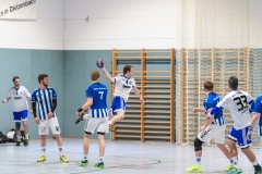 Handball Bezirksoberliga (Offenbach-Hanau)