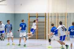 Handball Bezirksoberliga (Offenbach-Hanau)