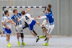 Handball Bezirksoberliga (Offenbach-Hanau)