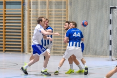 Handball Bezirksoberliga (Offenbach-Hanau)