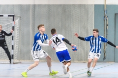 Handball Bezirksoberliga (Offenbach-Hanau)