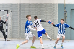 Handball Bezirksoberliga (Offenbach-Hanau)