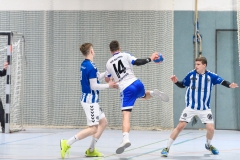 Handball Bezirksoberliga (Offenbach-Hanau)