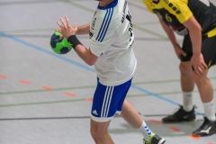 20180505_061_H1_SGBruchkoebelII