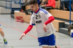 20190202_003_H1_TSVKleinAuheim