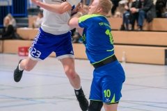 20190202_030_H1_TSVKleinAuheim