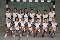 _D_HSG_2010-2011_2