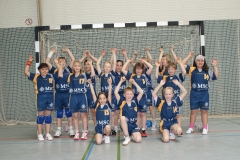 _E_HSG_2010-2011