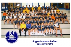 HSG_2012-2013