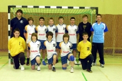 mC_HSG_2010-2011